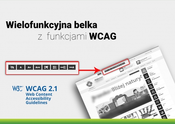 Belka z funkcjami WCAG 2.1 na stronie internetowej