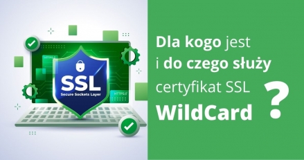 Dla kogo jest i do czego służy certyfikat SSL WildCard?